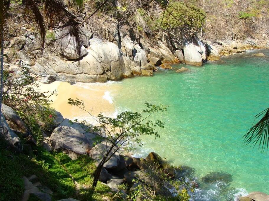 Casa Maleni 2 En Mismaloya Daire Puerto Vallarta Dış mekan fotoğraf